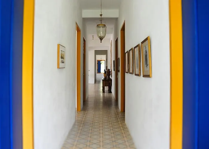 Pousada Quinta Das Palmeiras