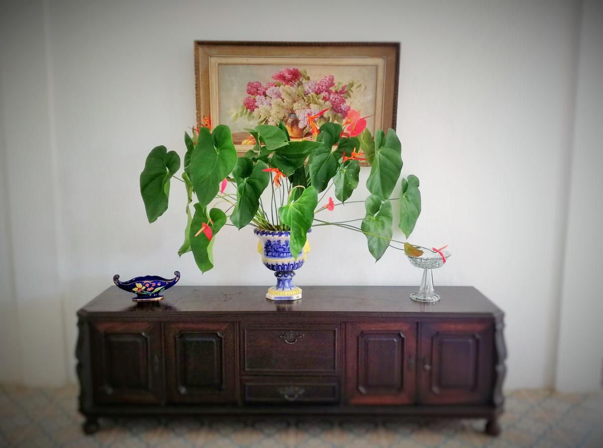 Guest house Quinta Das Palmeiras