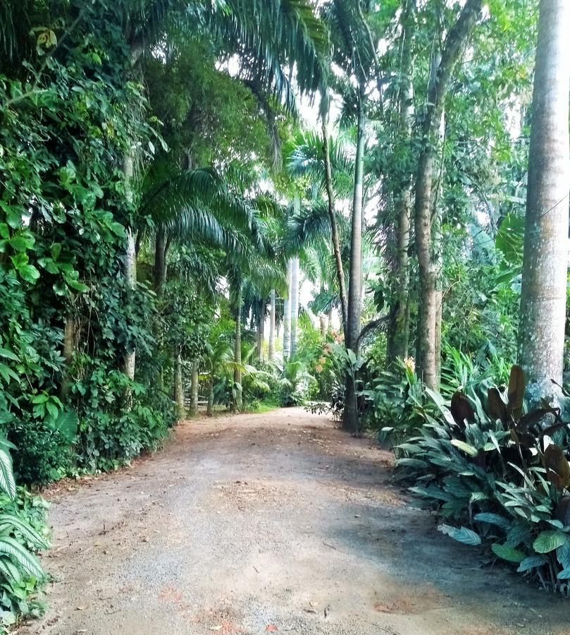 Guest house Quinta Das Palmeiras 2*