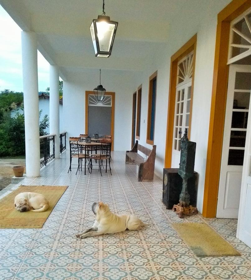 Quinta Das Palmeiras