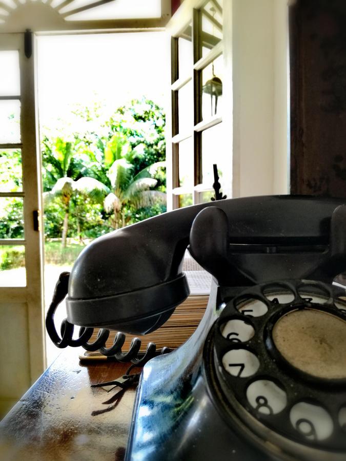 Quinta Das Palmeiras Paraty