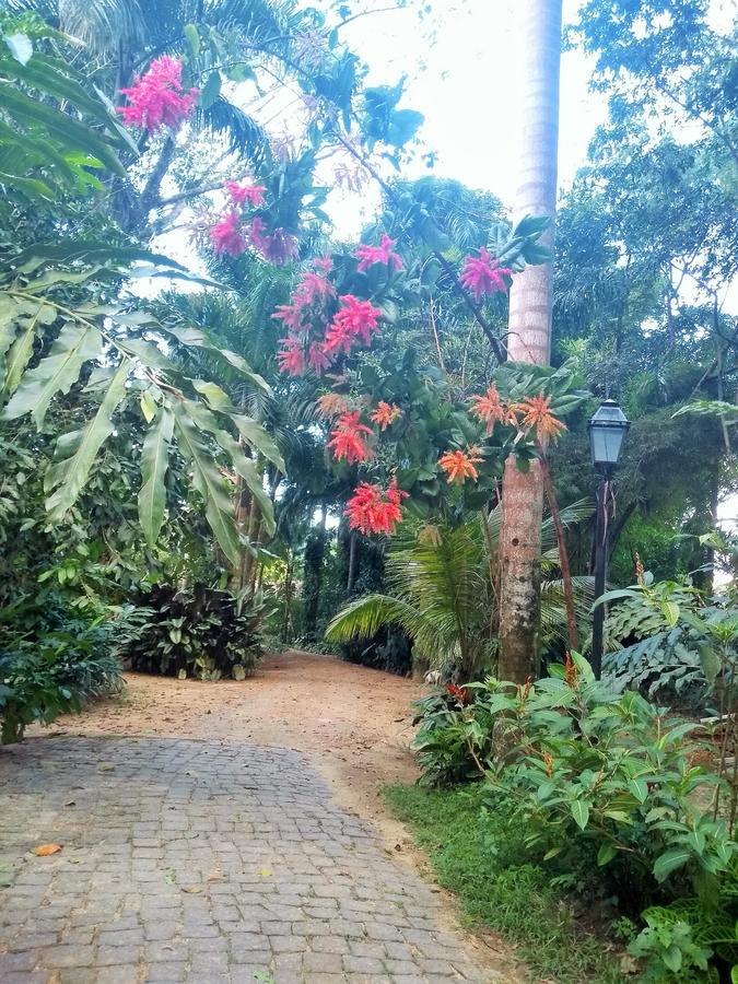 Quinta Das Palmeiras Guest house 2*