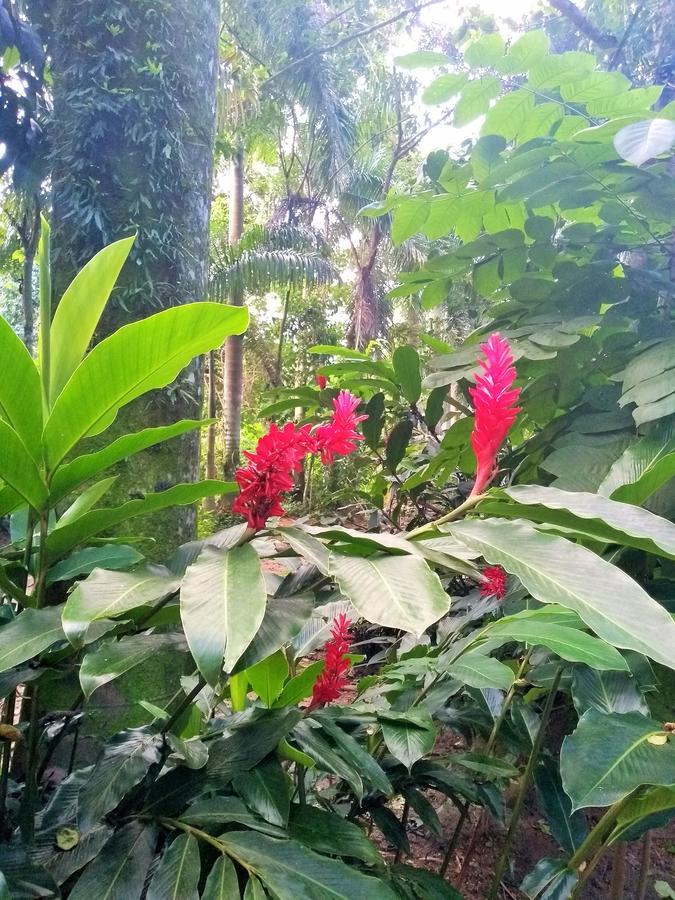 Guest house Quinta Das Palmeiras 2*