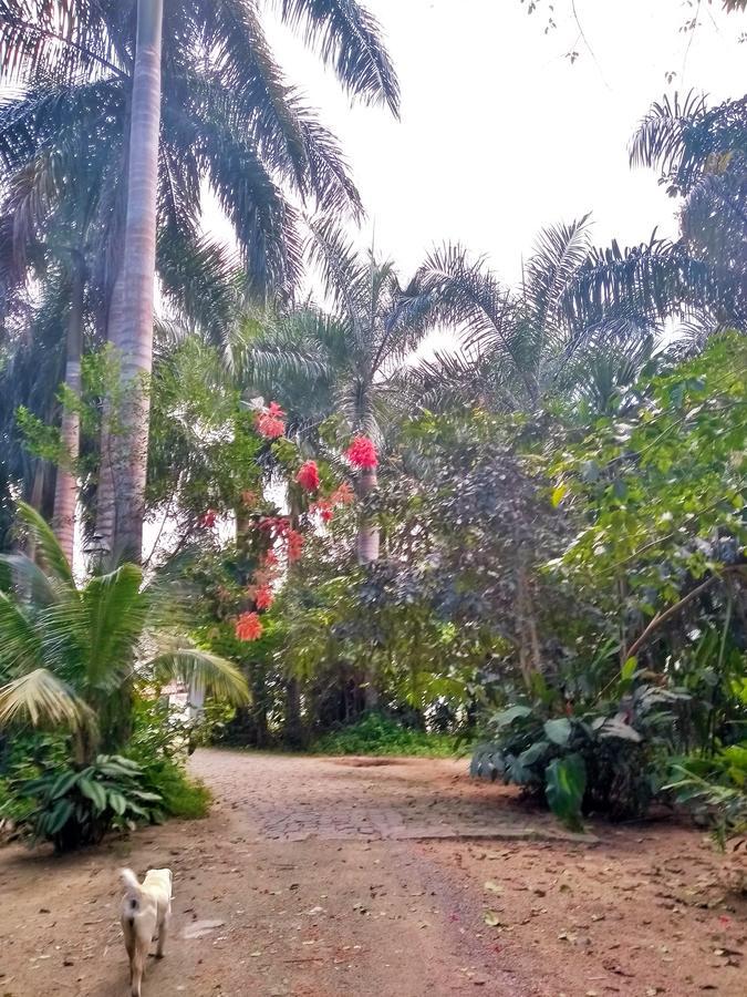 Quinta Das Palmeiras Parati